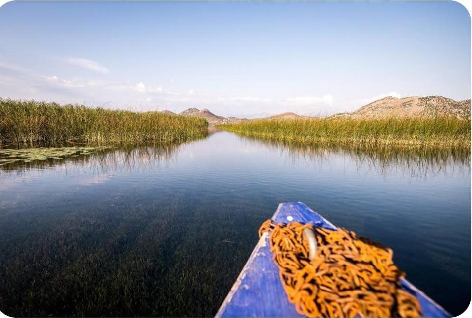 Holiday Home Haustor With Skadar Lake View 波德戈里察 外观 照片