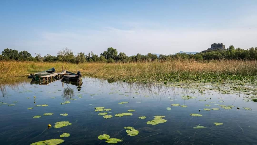 Holiday Home Haustor With Skadar Lake View 波德戈里察 外观 照片