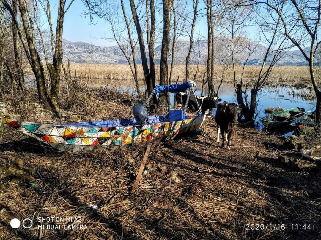 Holiday Home Haustor With Skadar Lake View 波德戈里察 外观 照片